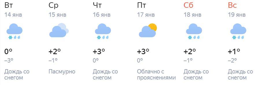 Стоит ли астраханцам ждать зимних заморозков? — фото 1
