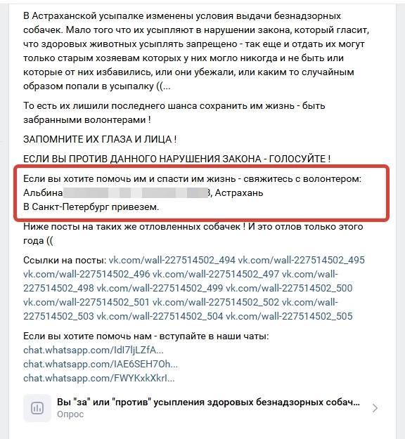 Астраханские зоозащитники придумали новую схему «спасения» отловленных собак — фото 2