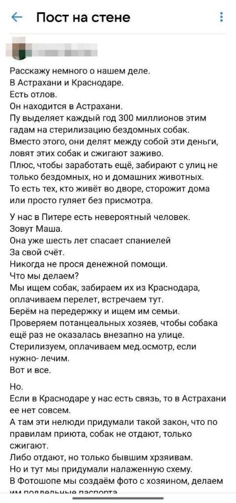 Астраханские зоозащитники придумали новую схему «спасения» отловленных собак — фото 3
