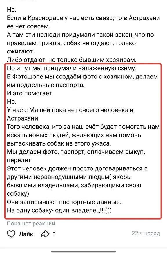 Астраханские зоозащитники придумали новую схему «спасения» отловленных собак — фото 4