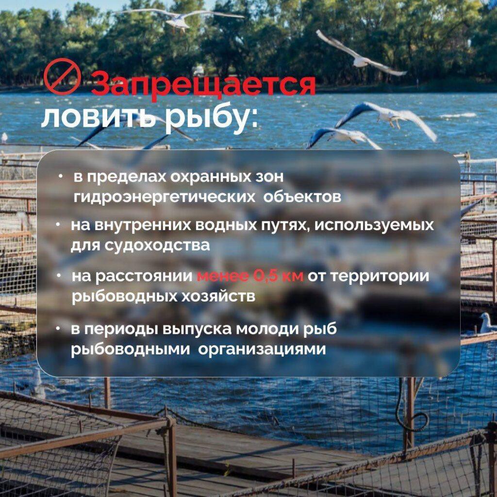 За вылов воблы в Астрахани могут посадить тюрьму — фото 3