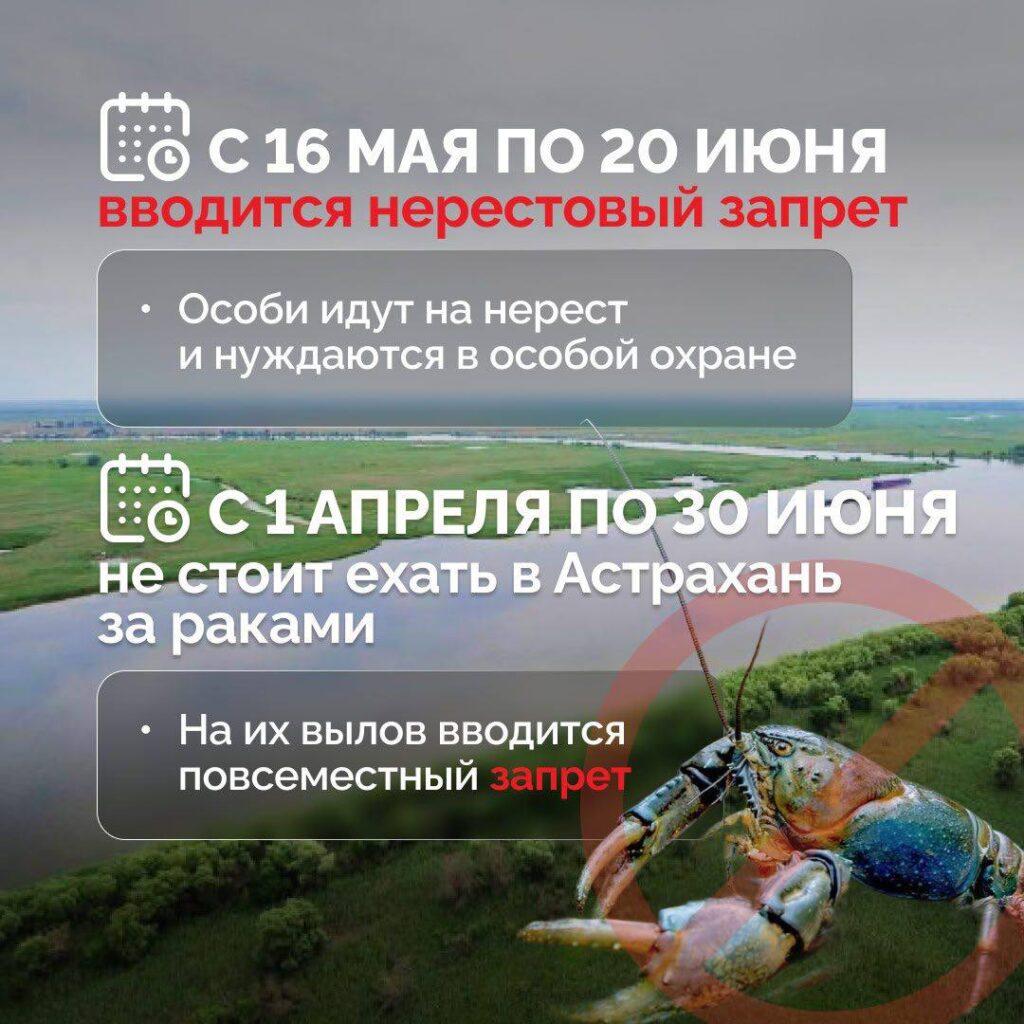 За вылов воблы в Астрахани могут посадить тюрьму — фото 2