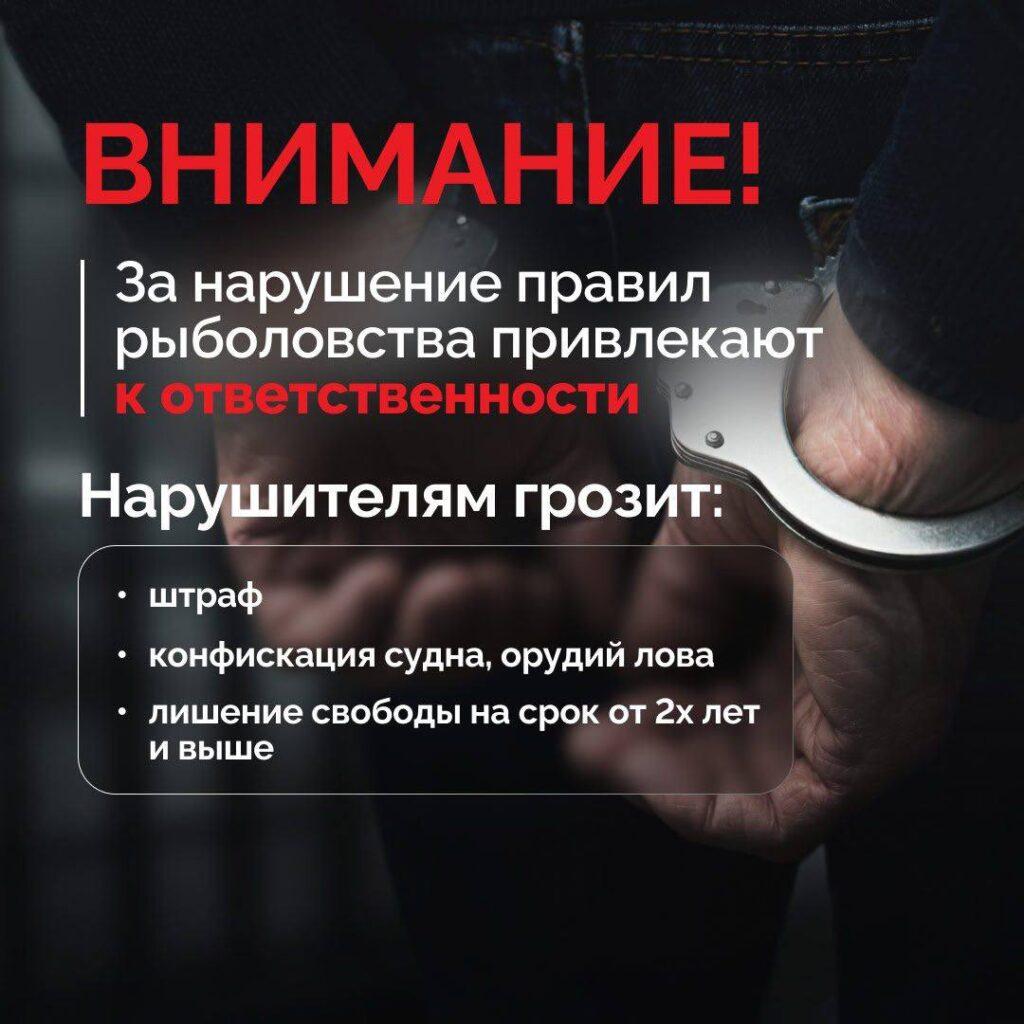 За вылов воблы в Астрахани могут посадить тюрьму — фото 1