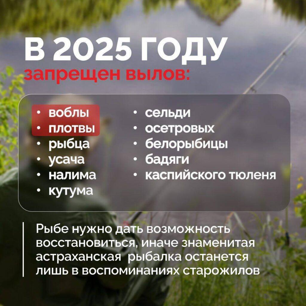 За вылов воблы в Астрахани могут посадить тюрьму — фото 5