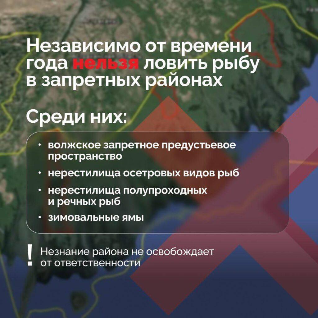 За вылов воблы в Астрахани могут посадить тюрьму — фото 4