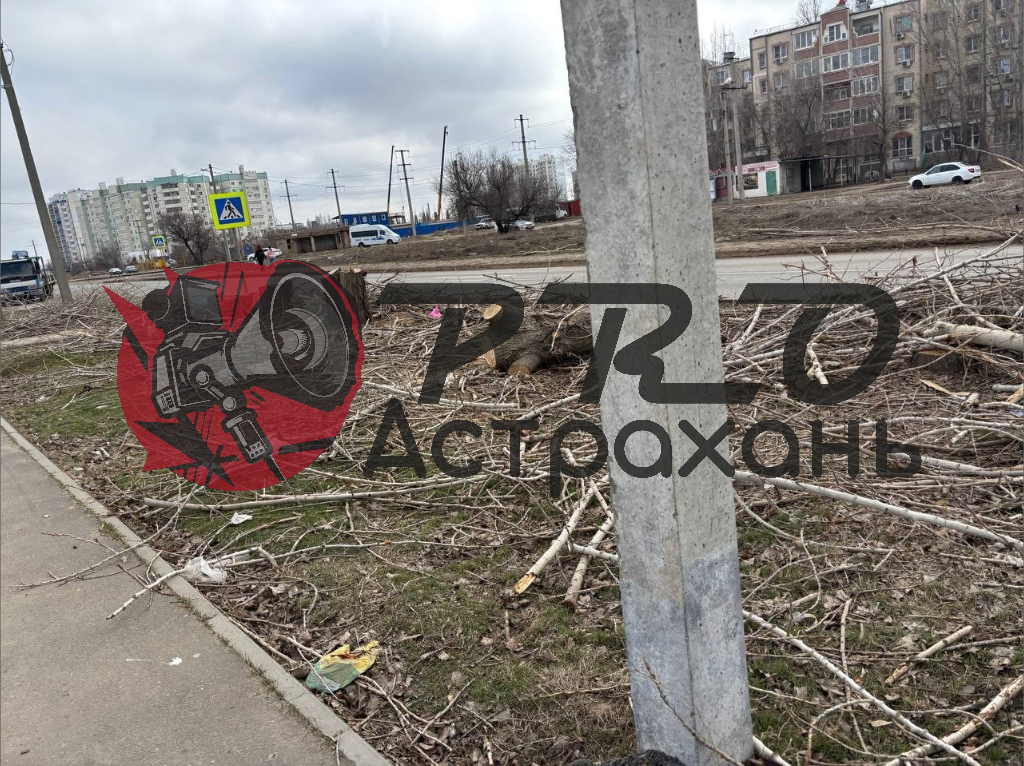 Астраханцы пожаловались на испорченный тротуар в микрорайоне Бабаевского — фото 6