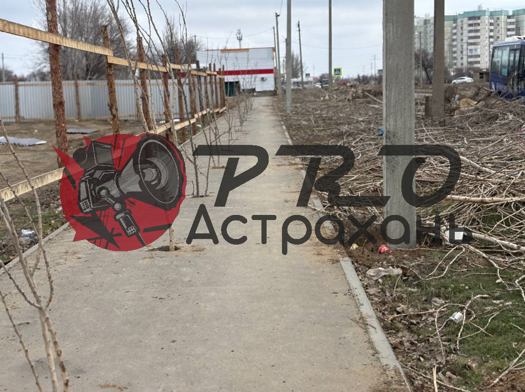 Астраханцы пожаловались на испорченный тротуар в микрорайоне Бабаевского — фото 5