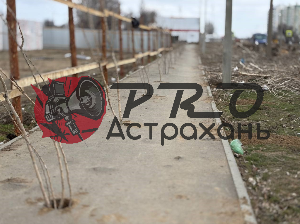 Астраханцы пожаловались на испорченный тротуар в микрорайоне Бабаевского