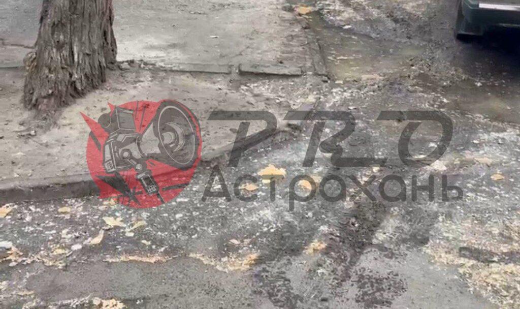 Двор дома в центре Астрахани вновь затопило жиром из канализации