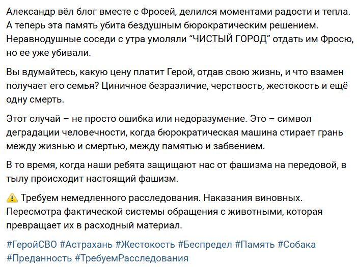 Астраханские зоозащитники используют имена погибших на СВО бойцов для махинаций с собаками — фото 3