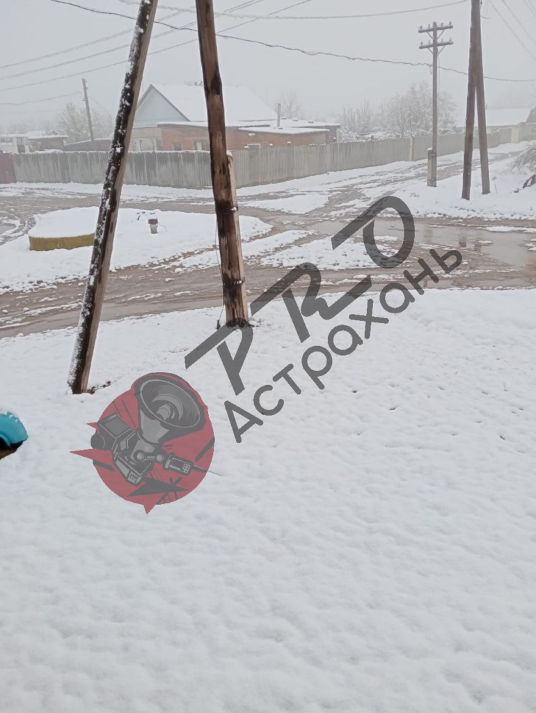 Снег и мороз не должны повлиять на урожай фруктов и овощей в Астраханской области — фото 2