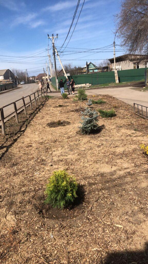 Астраханцы решили самостоятельно благоустроить свой поселок — фото 4