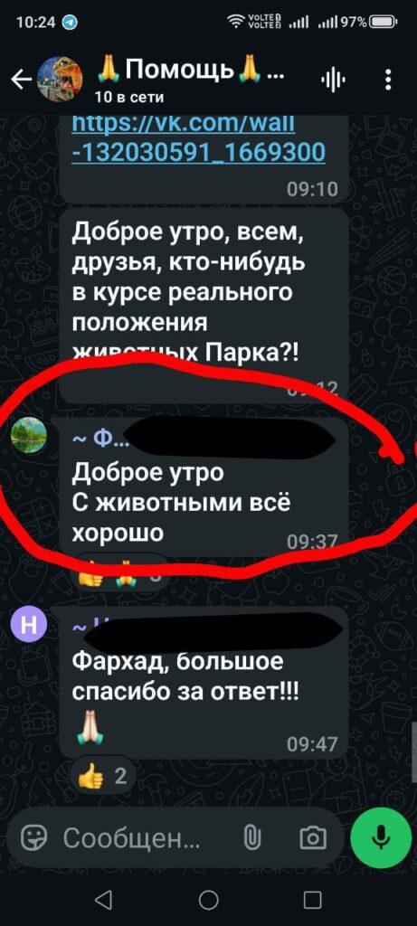 Слышно жалобные крики: внимание астраханцев вновь пытаются привлечь к парку «Планета» — фото 1