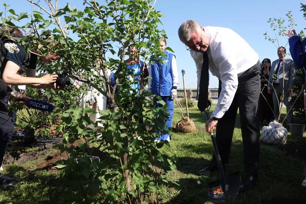 В Астрахани появилась своя аллея «Сирень Победы» — фото 2