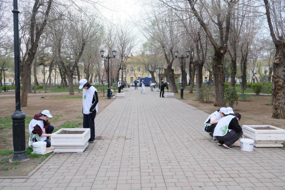 В Астраханском саду высадили московские ели — фото 2