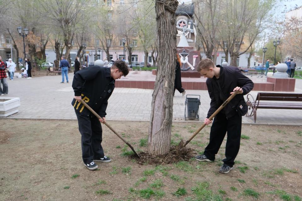В Астраханском саду высадили московские ели — фото 3