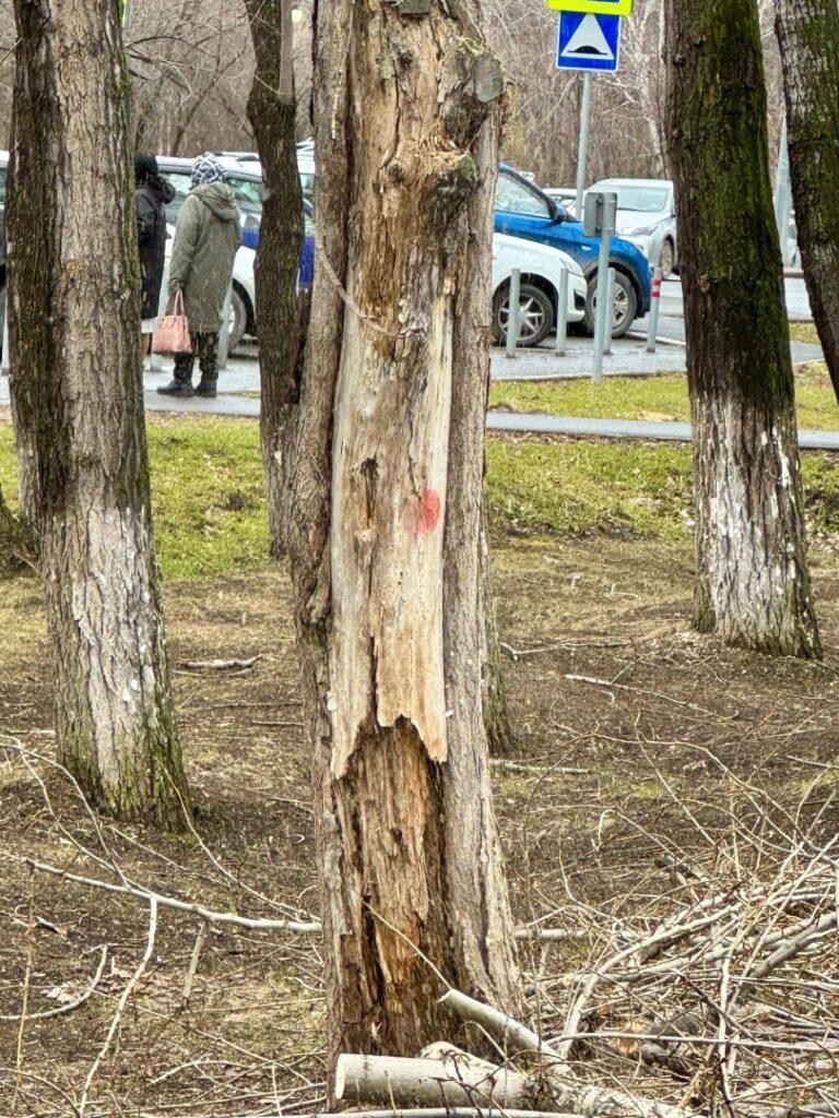 Аварийным — нет, молодым — да!