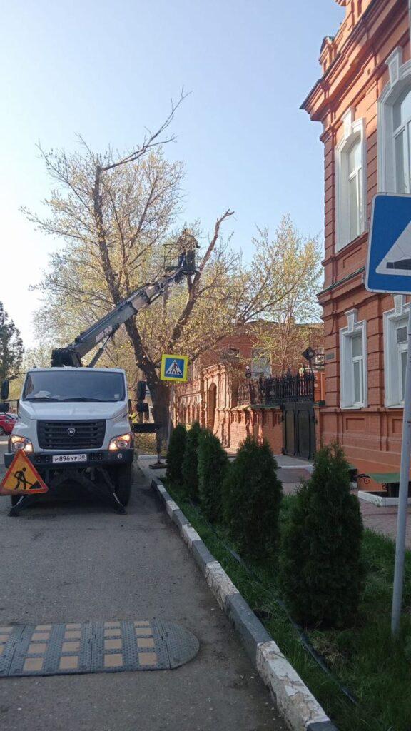 Астрахань «расцветает» вместе с весной — фото 6