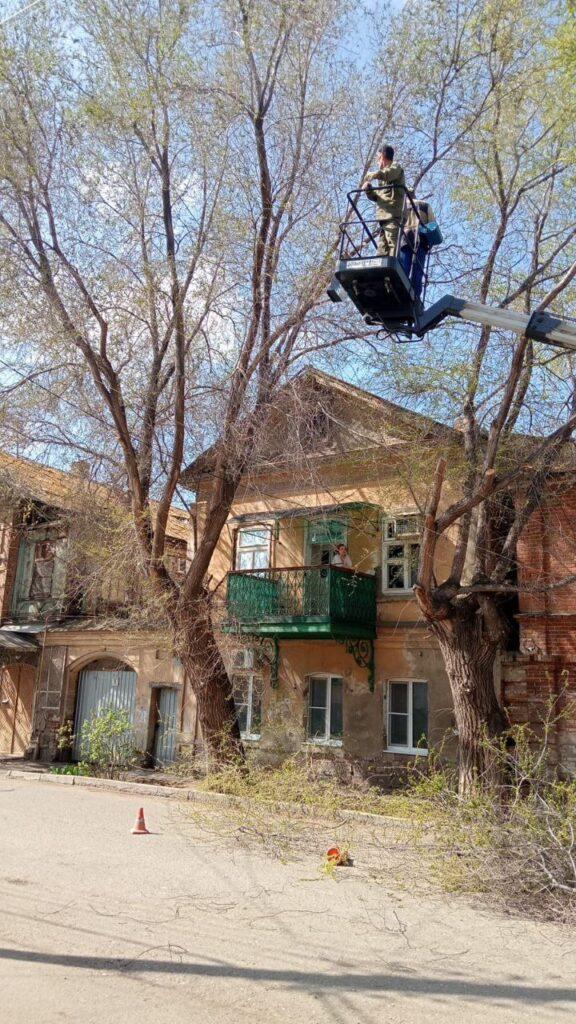 Астрахань «расцветает» вместе с весной — фото 7