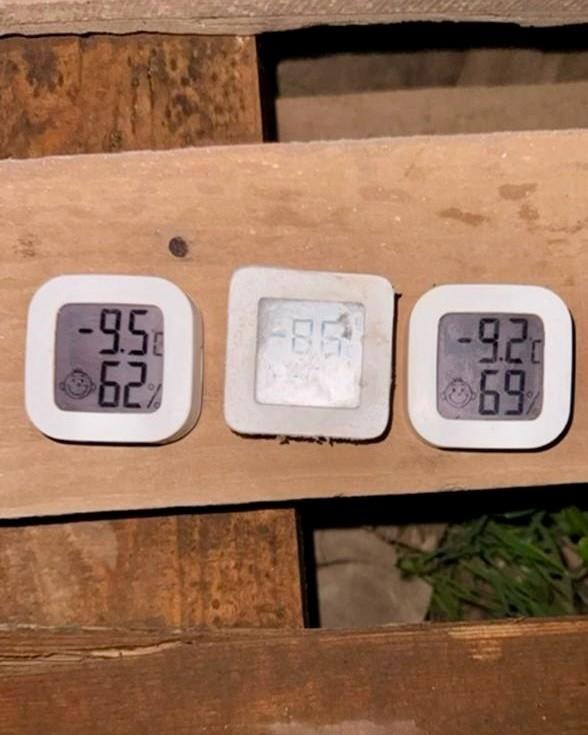 Заморозки уничтожили высаженную в грунт рассаду в Астраханской области — фото 1