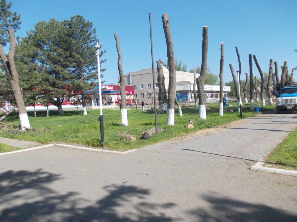 Подчистую: в Лимане срубили все деревья в парке