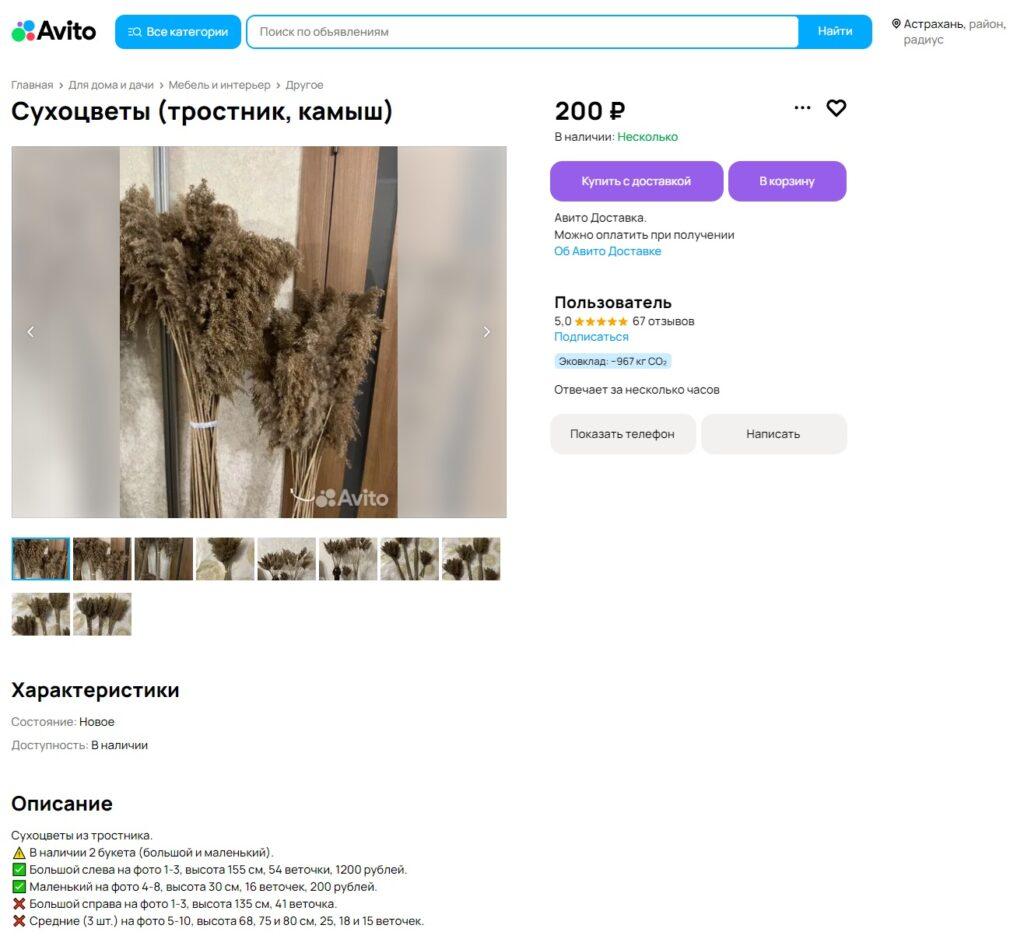 Как астраханцы зарабатывают на продаже камыша — фото 1