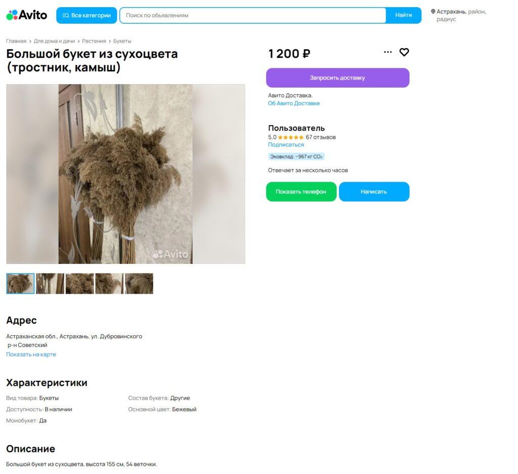 Как астраханцы зарабатывают на продаже камыша — фото 2