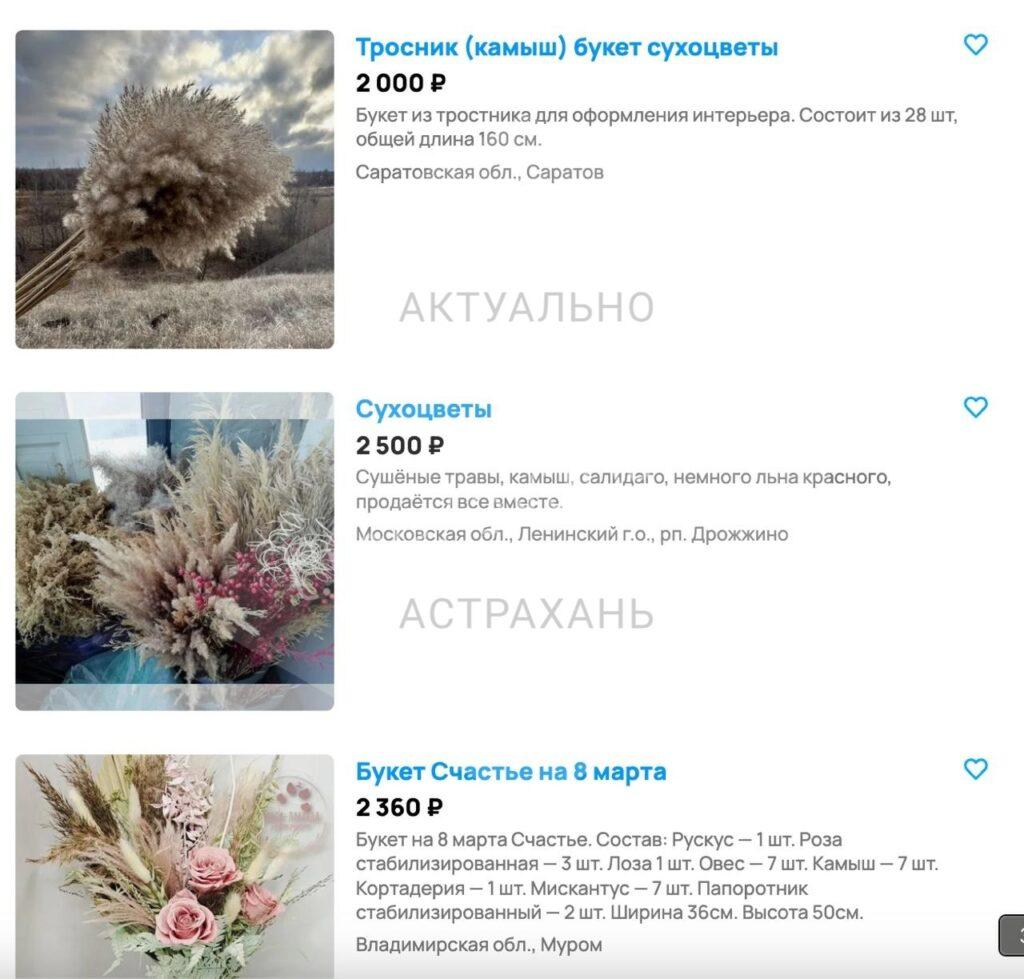 Как астраханцы зарабатывают на продаже камыша — фото 3