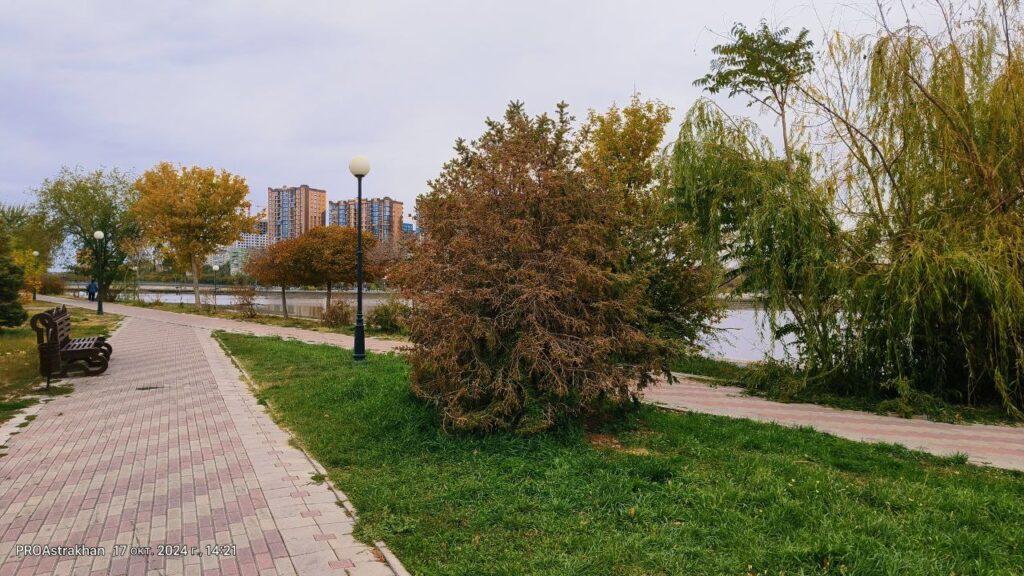 Астраханцы могут взять развитие страны в свои руки