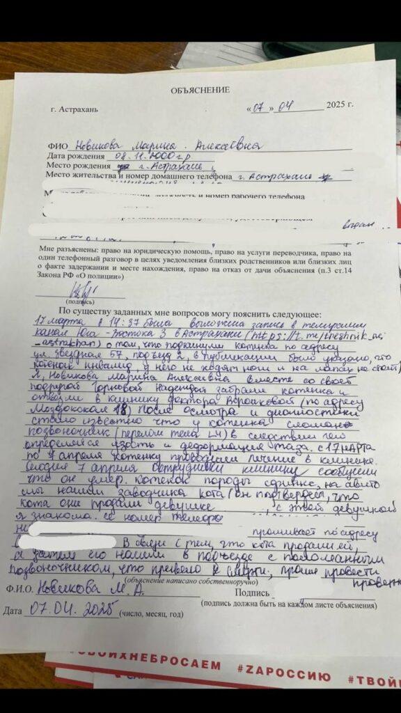Астраханцы требуют расследовать гибель котенка Добби, скончавшегося от увечий — фото 3