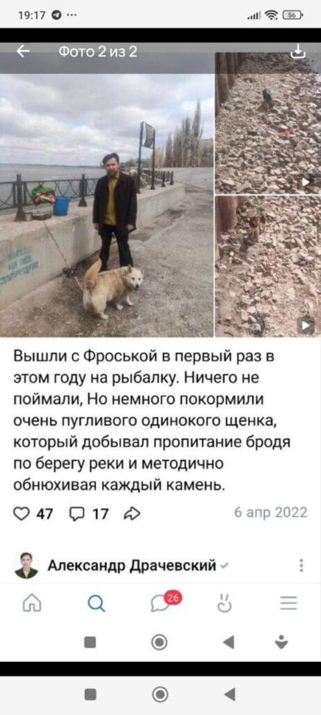 Астраханские зоозащитники используют имена погибших на СВО бойцов для махинаций с собаками — фото 6