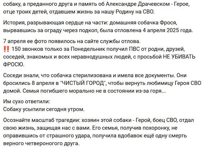 Астраханские зоозащитники используют имена погибших на СВО бойцов для махинаций с собаками — фото 2
