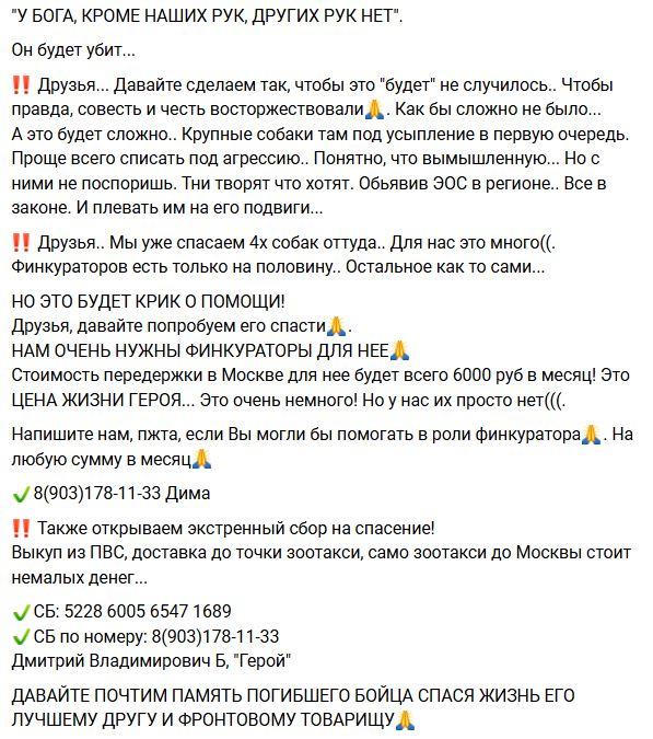 Астраханские зоозащитники используют имена погибших на СВО бойцов для махинаций с собаками — фото 4