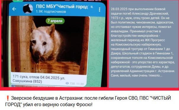 Астраханские зоозащитники используют имена погибших на СВО бойцов для махинаций с собаками