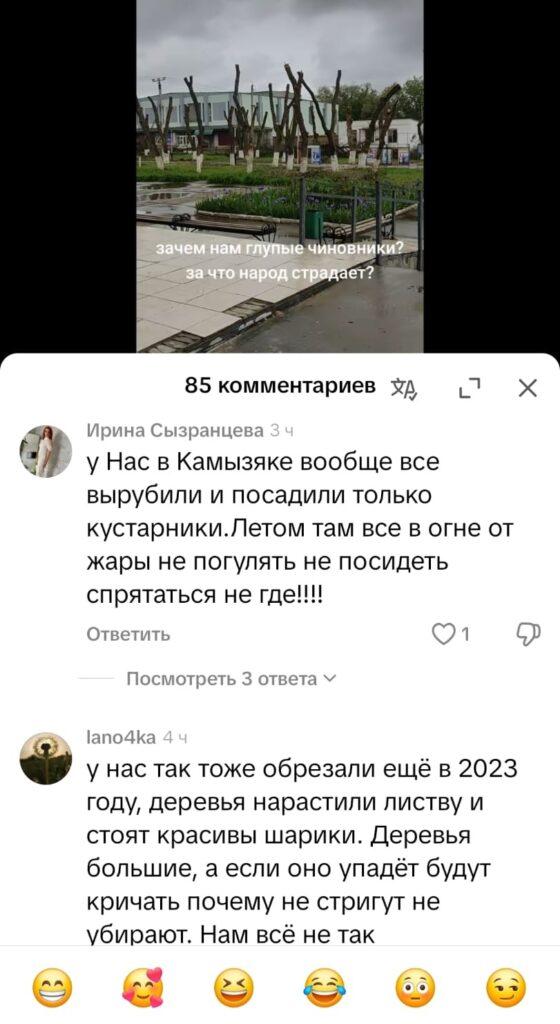 Подчистую: в Лимане срубили все деревья в парке — фото 7