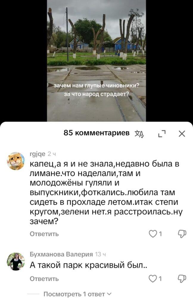 Подчистую: в Лимане срубили все деревья в парке — фото 8