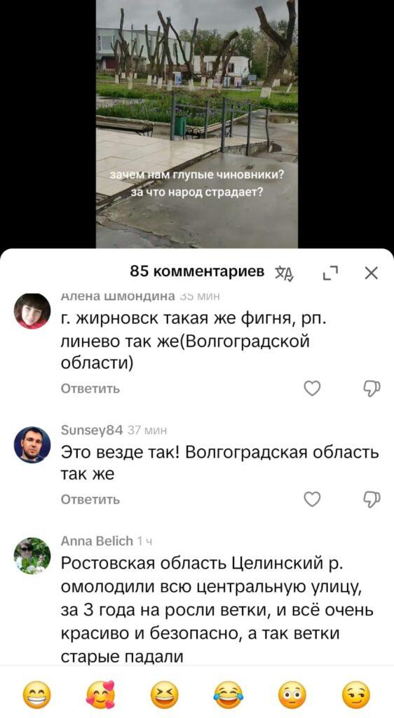 Подчистую: в Лимане срубили все деревья в парке — фото 9