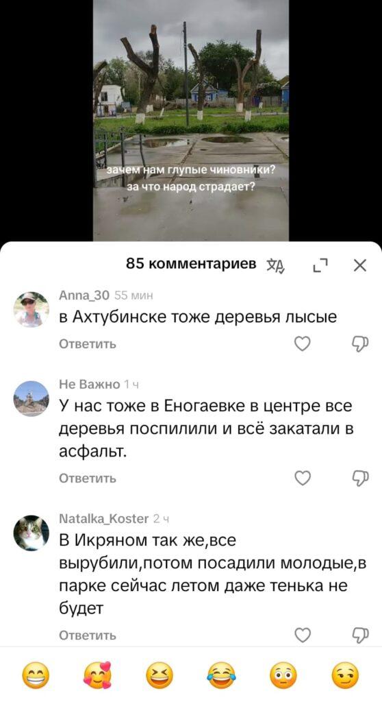 Подчистую: в Лимане срубили все деревья в парке — фото 10