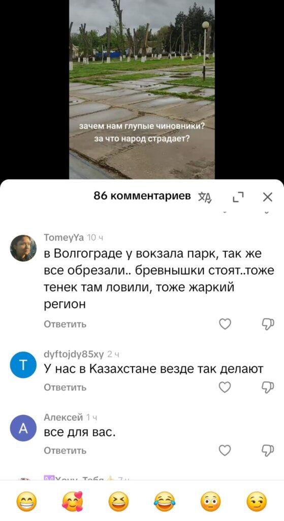 Подчистую: в Лимане срубили все деревья в парке — фото 11