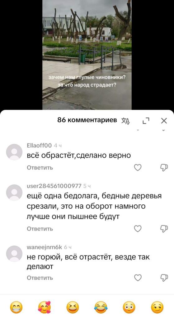 Подчистую: в Лимане срубили все деревья в парке — фото 6