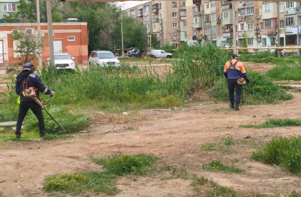С начала года в Астрахани уничтожили 1,5 млн «квадратов» сорняков С начала года в Астрахани уничтожили 1,5 млн «квадратов» сорняков