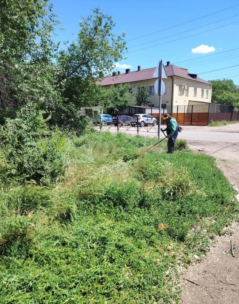 С начала года в Астрахани уничтожили 1,5 млн «квадратов» сорняков — фото 4