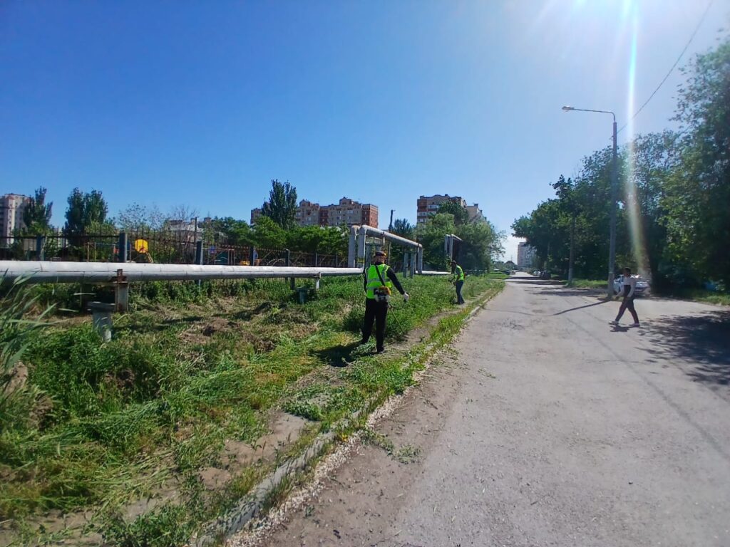 С начала года в Астрахани уничтожили 1,5 млн «квадратов» сорняков С начала года в Астрахани уничтожили 1,5 млн «квадратов» сорняков