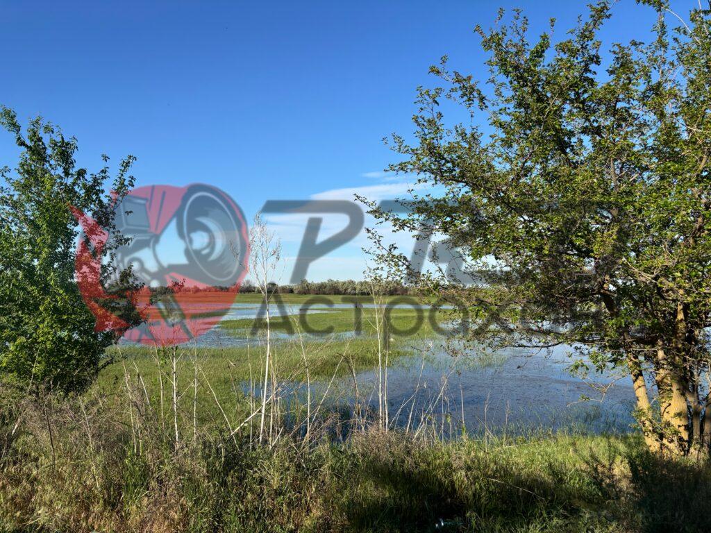 В Астраханской области все же продлили рыбохозяйственную полку