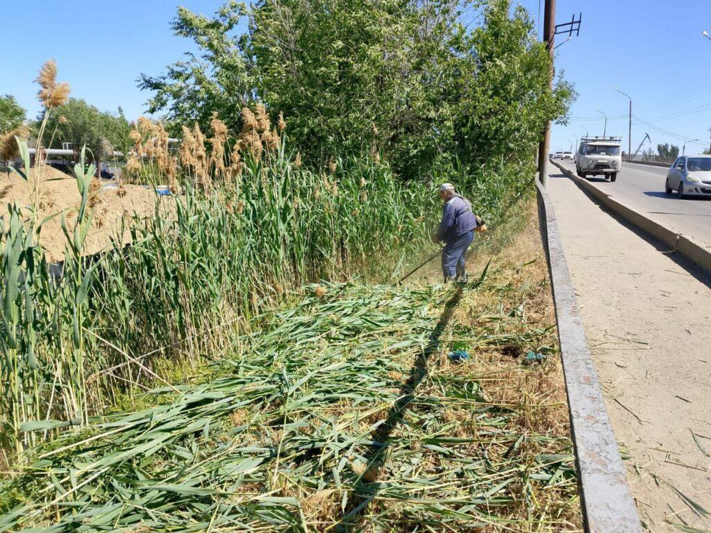 В Астрахани усилили работы по скосу сухой травы