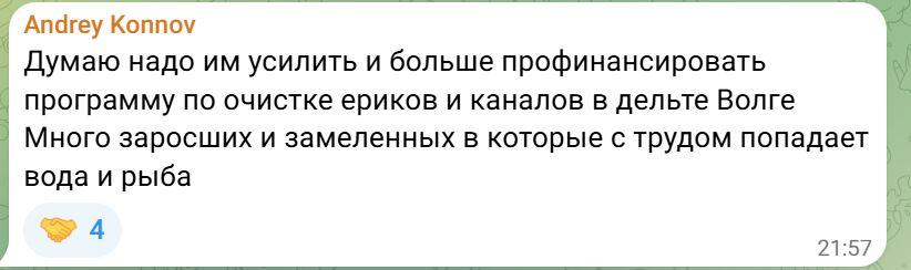 Рыба гибнет: маловодье приводит к массовым заморам в Астраханской области — фото 3