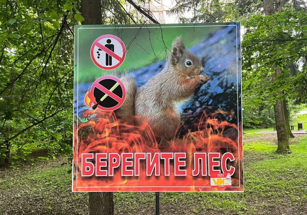 Астраханцам продлили ограничение пребывания в лесах