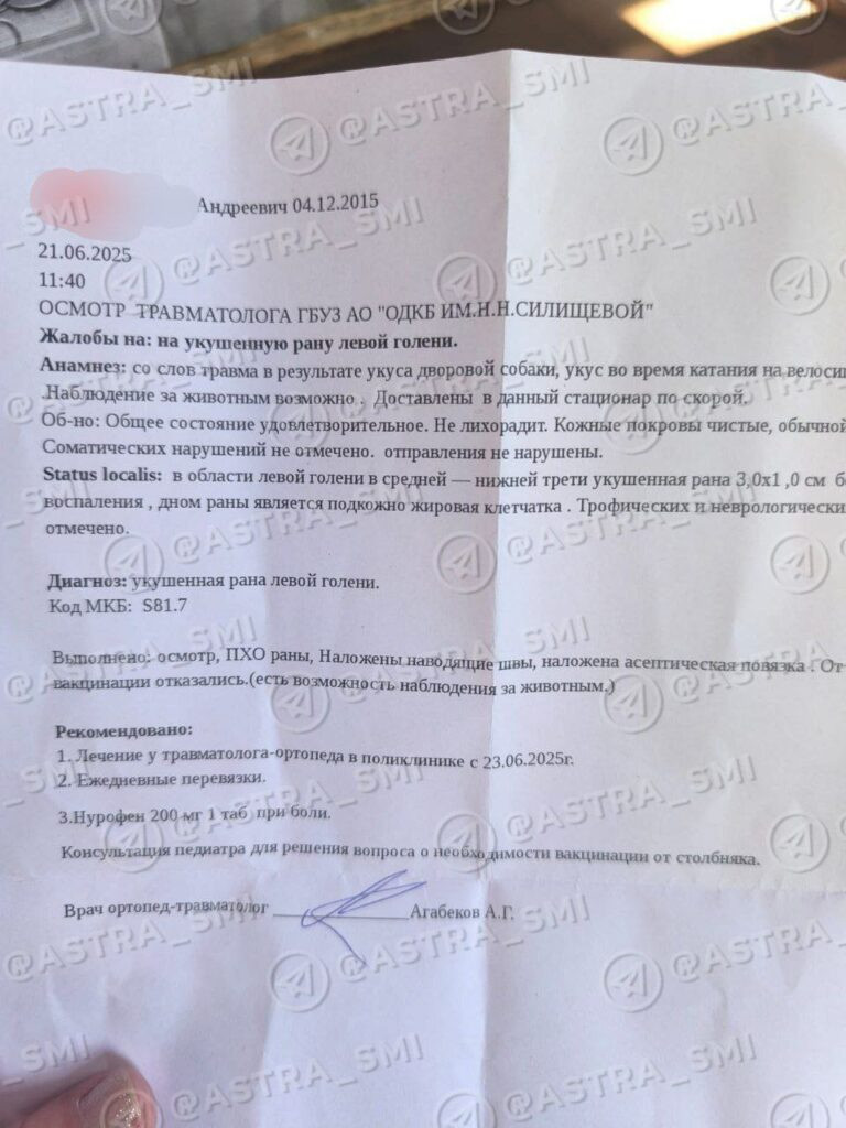 «Ничего нового»: в Астрахани очередной ребенок пострадал от нападения собаки — фото 1