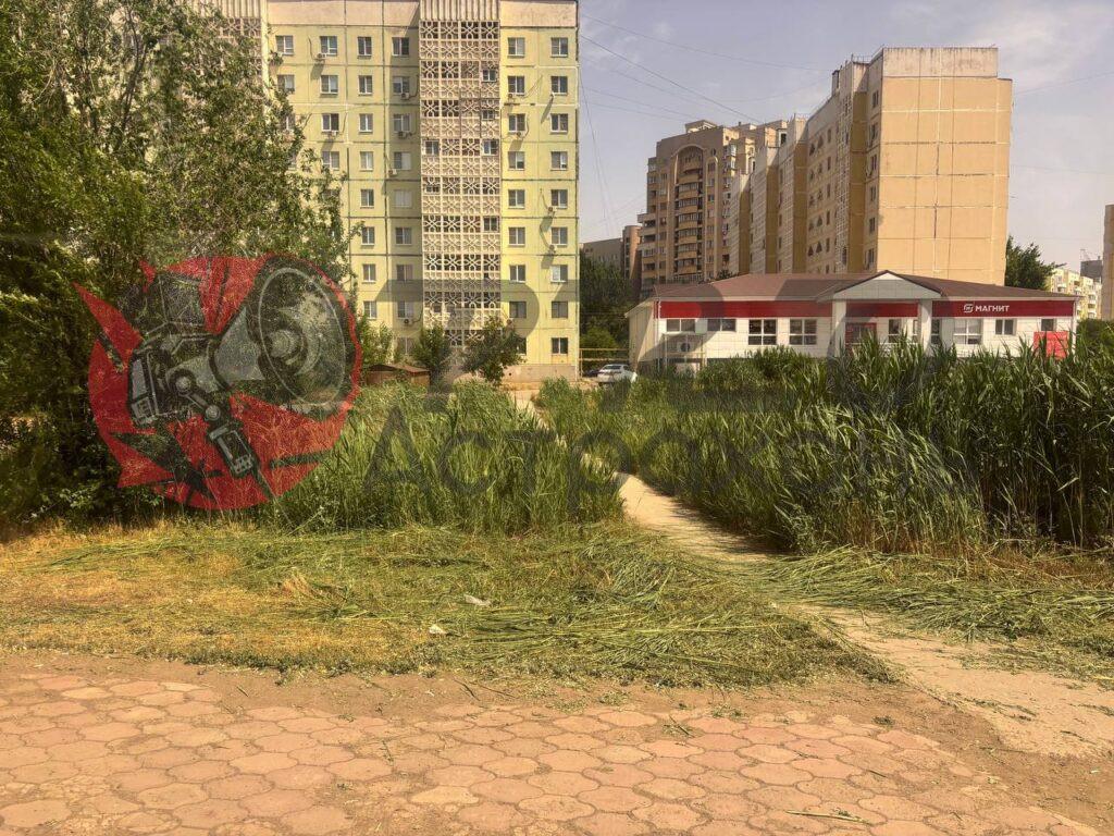 Косят, но не убирают: в Астрахани от камыша и травы очистили порядка 1,8 млн кв. метров — фото 1