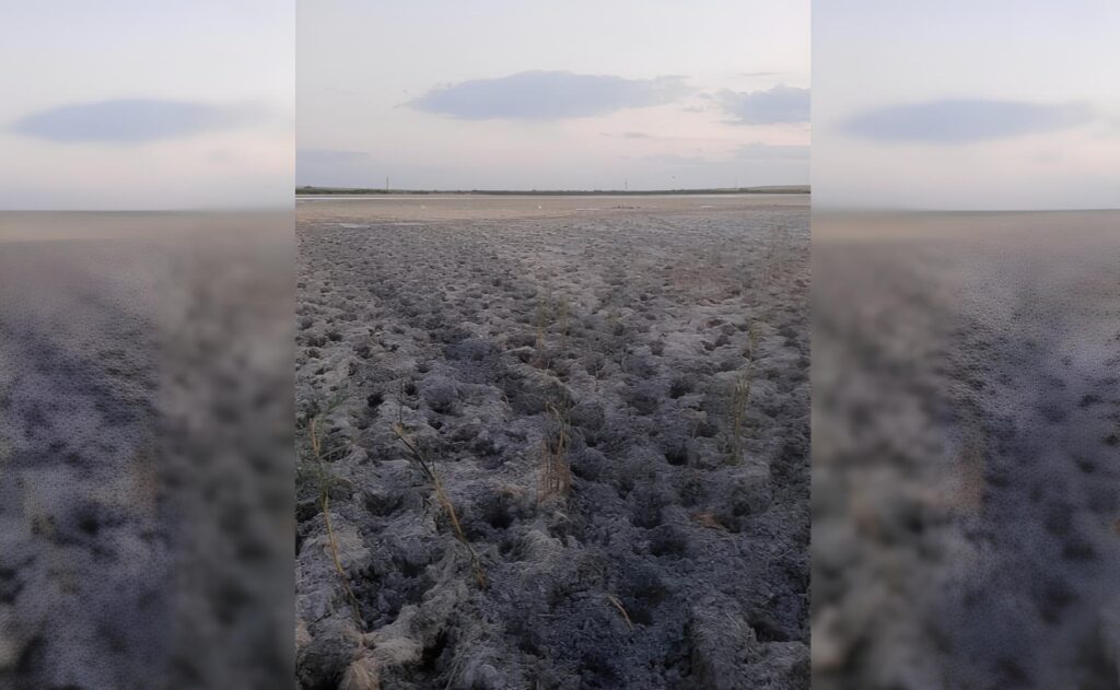 Засуха и маловодье губят сёла в Астраханской области